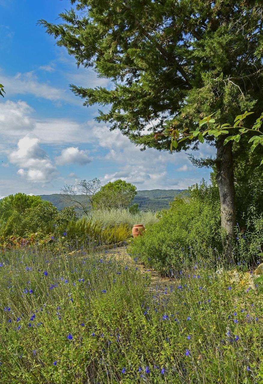 Il Verreno Bucine Extérieur photo